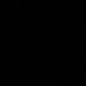 Meet your Posher, Trevor